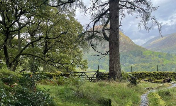 Future Fixers CIC Kinder Greener Fairer